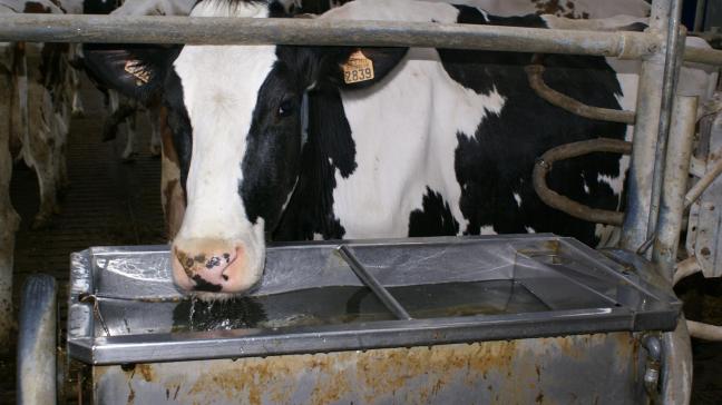 Een wateraudit brengt de waterstromen en -behoeften op een landbouwbedrijf in kaart  en gaat na welke besparingsmogelijkheden er zijn.