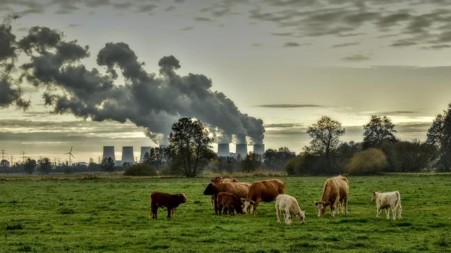 We stootten een geschatte 72 megaton uit, ten opzichte van 69 megaton in 2020.