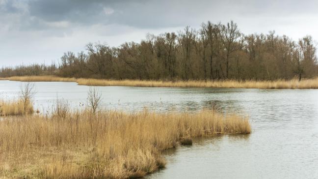 Landbouworganisaties worden vandaag eindelijk betrokken en krijgen een rol in de parkenbureaus.