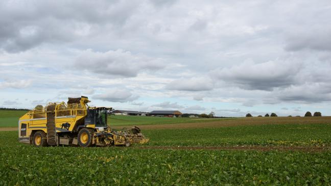 Het rooien van najaarsgewassen zoals aardappelen en bieten verloopt momenteel vlot.