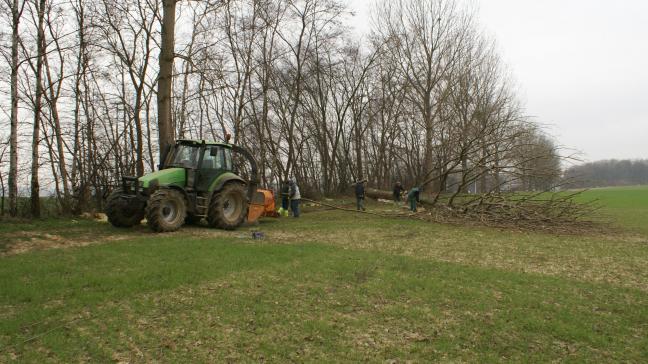 Vorig jaar verdween er 40 km ‘kleine landschapselementen’.