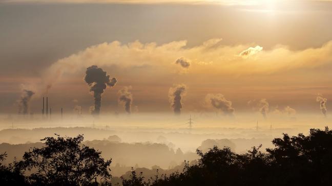 In een gerechterlijke uitspraak werd geoordeeld dat er geen verschil kan gemaakt worden tussen stikstof uit industrie en stikstof afkomstig uit landbouw. PAS kan dus terug naar de tekentafel, stelt Boerenbond.