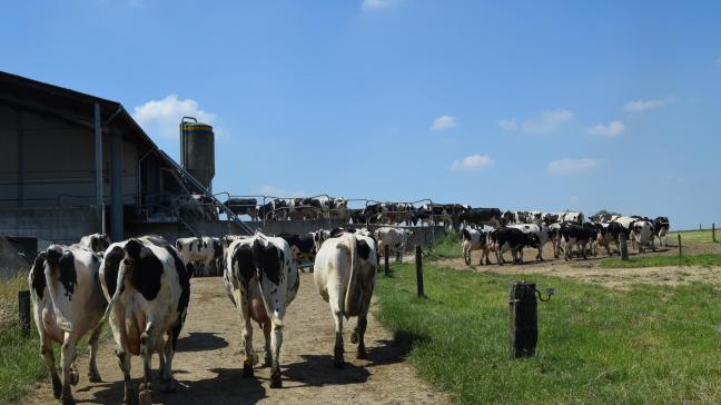 De VLM zegt niets over de impact van MAP7 op de lokale voedselproductie en de lokale voedselverwerkingsindustrie.