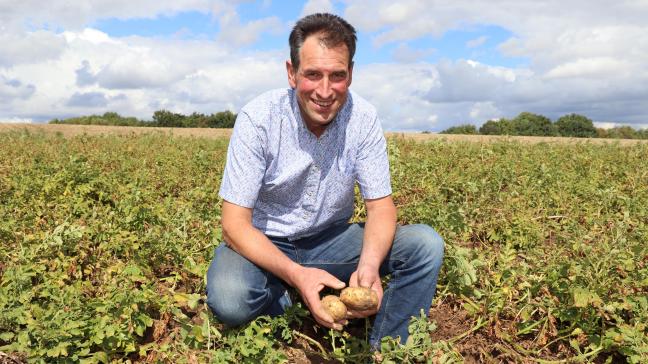Akkerbouwer Gaston Backbier verwacht dit jaar zo'n 20% minder opbrengst bij de aardappelen door de droogte. “Ik hoop dat goede prijzen deze mindere opbrengsten zullen compenseren.”