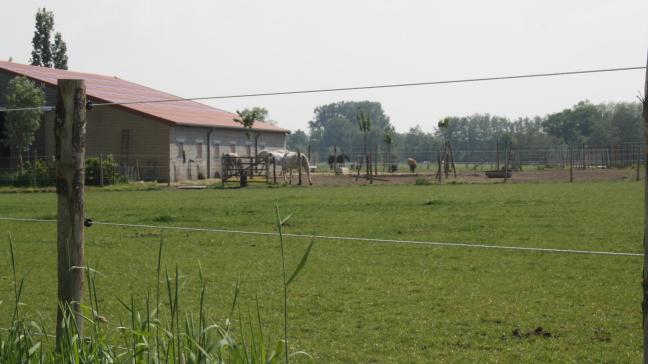 De stap van boerderij naar paardenhouderij begint met het aanvragen van een functiewijziging.