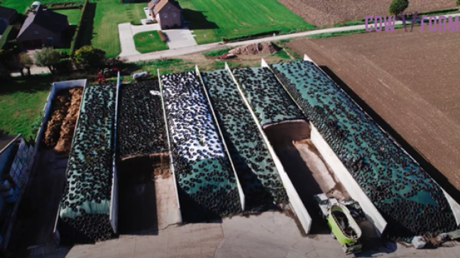 Op het bedrijf van Vlaamse melkveehouder Cyriel zijn alle sleursilo’s met ruwvoeder gegroepeerd. Hij kan zeer snel van de ene naar de andere kuil rijden, het morsen en eventuele voederresten blijven op één plek. Hij heeft een zelfrijdende mengvoederwagen die hij deelt met een andere landbouwer.