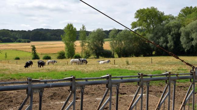 De vzw Verenigde Veehouders roept op om één front te vormen tegen het PAS-beleid.