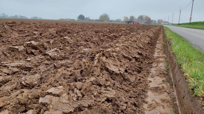 Een lezer vraagt zich af wat de landbouwgronden nog waard zijn bij dit overheidsbeleid.