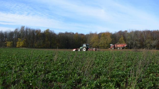 De maximale pachtprijs die de verpachter kan eisen, wordt berekend volgens de formule: niet-geïndexeerd kadastraal inkomen van het pachtgoed x de pachtprijscoëfficiënt van de betrokken landbouwstreek. Foto: TD