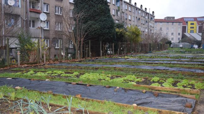 Zes typologieën vallen onder de activiteit stadslandbouw, namelijk professionele stadsboerderij, gemeenschapspark, zelfoogsttuin – inclusief volkstuinen –, niet-grondgebonden stadslandbouw, zorgboerderij en buurttuin.