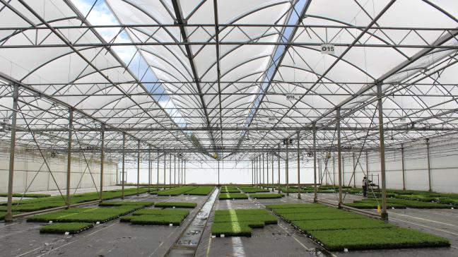 Boerenbond roept haar leden uit de glastuinbouw op om de EBO te tekenen.