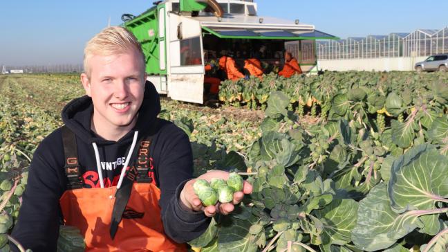 Net als zijn vader is Marc Peters een echte ‘spruitenman’: “Dat blijft dus ook mijn hoofdteelt.”