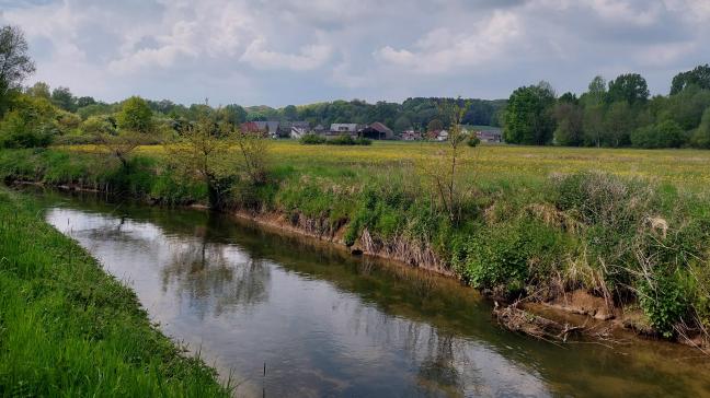 De waterkwaliteit in Vlaamse landbouwgebieden gaat er niet snel genoeg op vooruit.