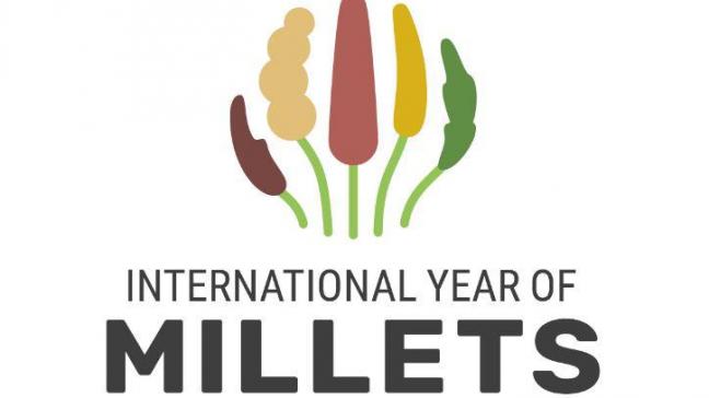 2023 werd door de Verenigde Naties uitgeroepen tot het ‘Internationale Jaar van de Gierst (millets)’.