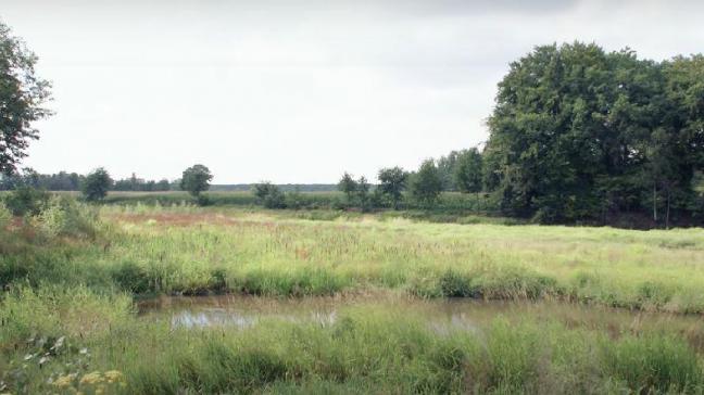 Met de goedkeuring komt er 700 ha bijkomende natuur en bos en wordt 1.260 ha vastgelegd als landbouwgebied.