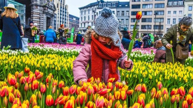 Op het Koningin Astridplein in Antwerpen werd zaterdag 21 januari het nieuwe bloeiseizoen feestelijk ingezet.