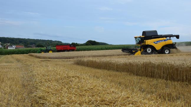 Boeren van 6 EU-landen zien hoe hun producten steeds meer plaats moeten maken voor goedkope Oekraïense concurrentie.