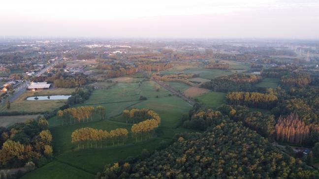 Waarschijnlijk zal het advies van INBO een aanscherping bevatten van de drempelwaarden voor onder meer vochtige heide, voor droge heischrale graslanden en voor sommige types eiken-beukenbossen.