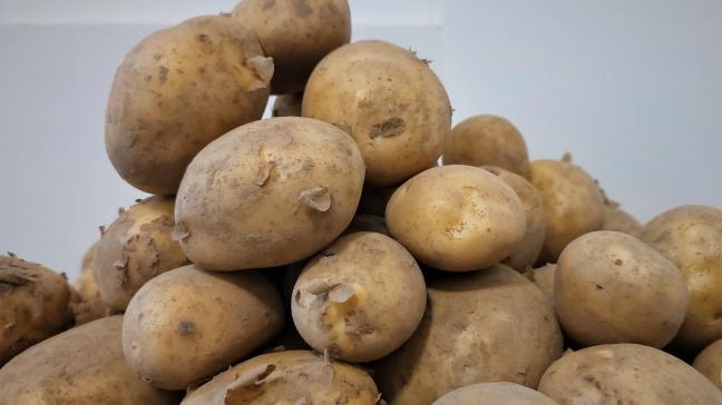 Belgapom meldt deze week stabiele aardappelprijzen.