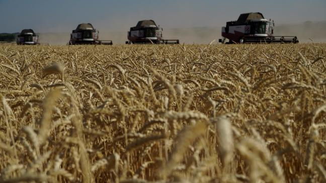 Het tarweaanbod vanuit Rusland, aan scherpe prijzen, blijft de prijs onder druk zetten.