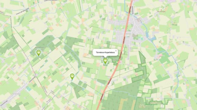 Het Torrebos in natuurgebied Burkel in Aalter werd in de commissie Leefmilieu aangehaald als voorbeeld van slechte communicatie omtrent natuurbeheerplannen.