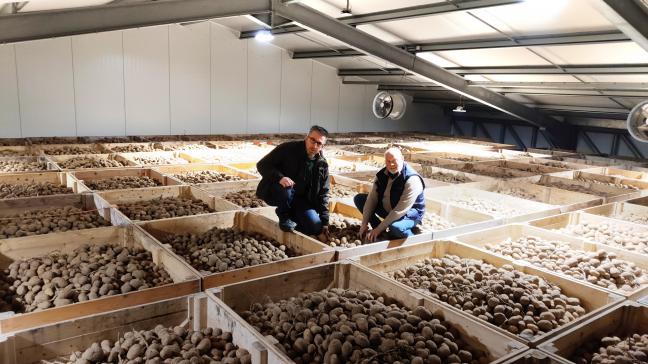 Via een platform met trappen kunnen Jan Draelants (links) en Trudo Biets naar boven om aardappelen te controleren op kwaliteit.