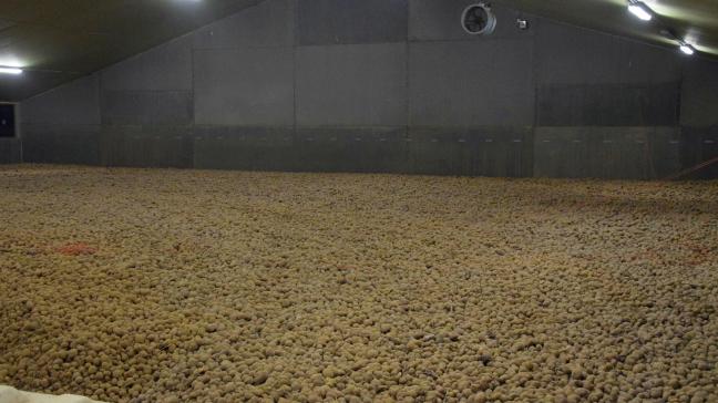 De totale productie blijkt 21,69 miljoen ton te zijn.