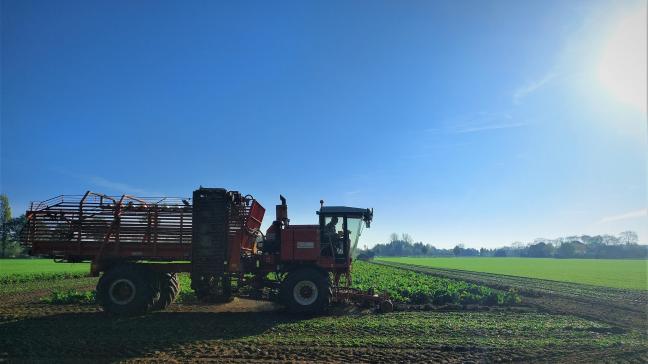 Enkel een plan dat ook rekening houdt met de omgeving, werkt voor een landbouwer op de lange termijn, stellen BBL en Natuurpunt.