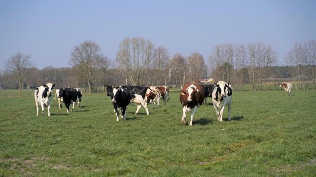 Doeinspanningen voor de bestrijding van ziekten en beperk de risico’s bij weidegang.