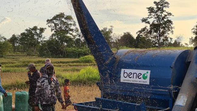 Beneo leverde 8 oogstmachines en 4 dorsmachines om de werklast te verlichten en de opbrengst op het veld te verhogen.