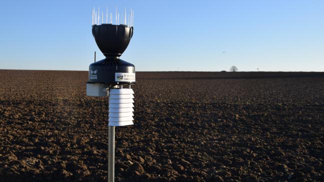 Geconnecteerde weerstations zorgen voor heel lokale gegevens. Bovendien zijn deze meteen beschikbaar en worden ze voortdurend bijgewerkt.