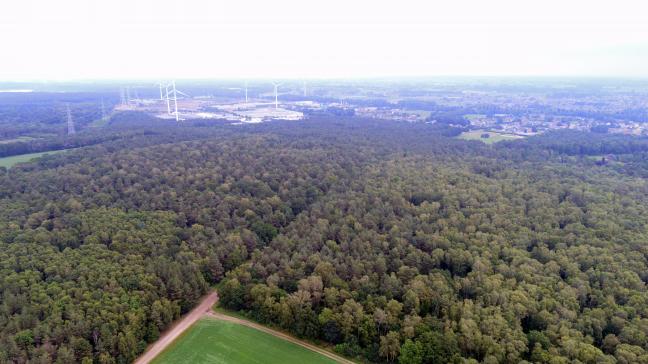 Momenteel zijn de 7 kandidaten Landschapsparken en 6 kandidaten Nationale Parken in begeleiding voor de opmaak van een masterplan.