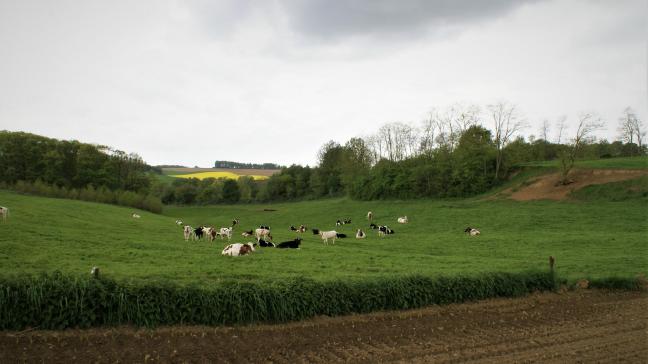 Bij de nationale parken moet de oppervlakte van de natuurkernen op het moment van de erkenning minimaal 5.000 ha zijn. 24 jaar na erkenning moet de natuurkern uitgebreid worden tot minstens 10.000 ha.