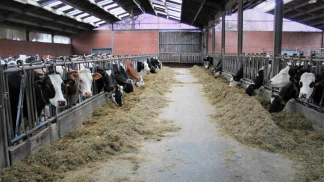 De standaard melkprijs blijft in mei stabiel op 40 euro/100 l, meldt Royal A-Ware.