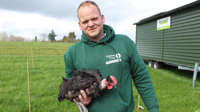 De combinatie van vleeskippen en een hazelnootplantage, zoals jonge boer Len Van den Berge het doet, is logischer dan je op het eerste zicht zou denken.