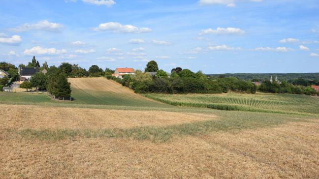 Visuele waarnemingen in het veld kunnen ondersteund worden door objectieve  opbrengstmetingen.