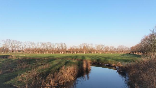 De Vlaamse regering heeft in het regeerakkoord afgesproken om deze legislatuur 3 Landschapsparken en 4 Nationale Parken te erkennen. De selectie leidt tot discussie.