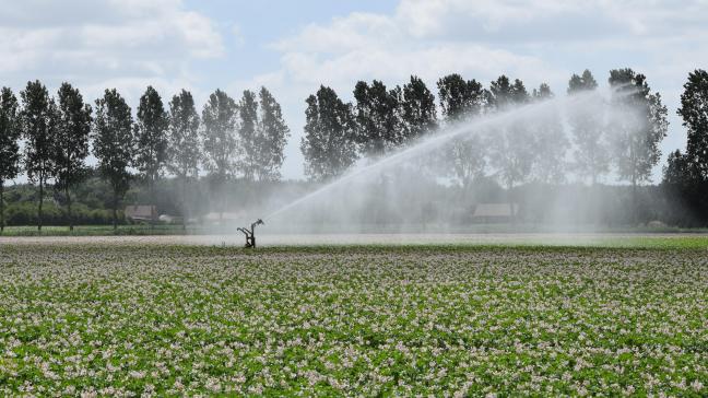 Variabele irrigatie is helaas een techniek die nog niet voor iedere landbouwer mogelijk is.