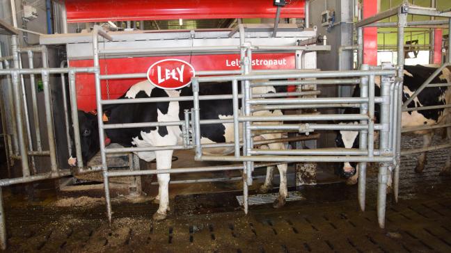 2022 was een zeer goed jaar voor de melkveesector.