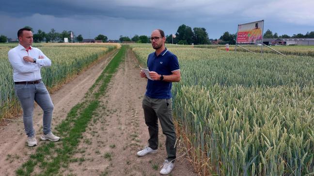 Sander Van Kerckhove (l) en Thomas Truyen (r) toonden hoe Limagrain met haar rassen(mengsels) inspeelt op het veranderende klimaat en op de wijzigende wetgeving.