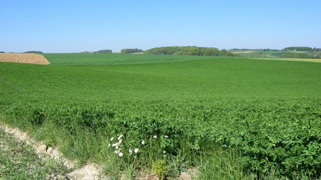 Nagenoeg alle landbouwers hechten veel belang aan bodemkwaliteit en zien het als hun persoonlijke plicht om hierin te investeren.