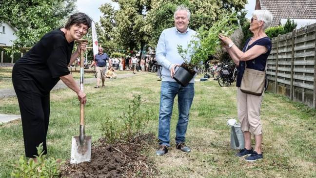 Gedeputeerde Kathleen Helsen plant nog een blauwebessenstruik samen met schepen Johan Verhaegen van Grobbendonk en vrijwilligster Paula Corthout (rechts).