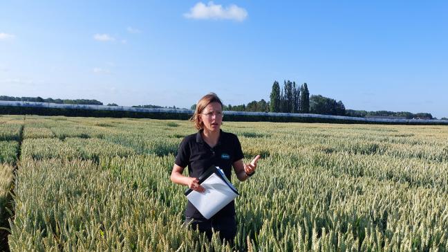 Annelien Van Gorp besprak nieuwe graanvariëteiten, naast bekende toppers.