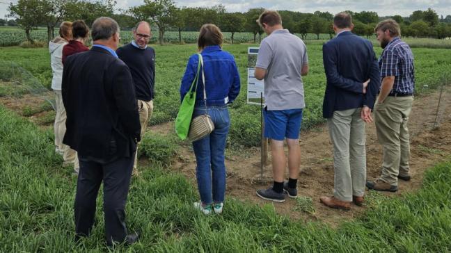 Eiwithoudende gewassen telen in Vlaanderen wordt noodzakelijk in de toekomst. ILVO doet alvast proefveldonderzoek.