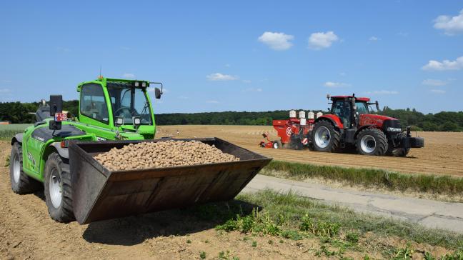 Moeilijke groeiomstandigheden roepen veel vragen op over de aardappelproductie van 2023.