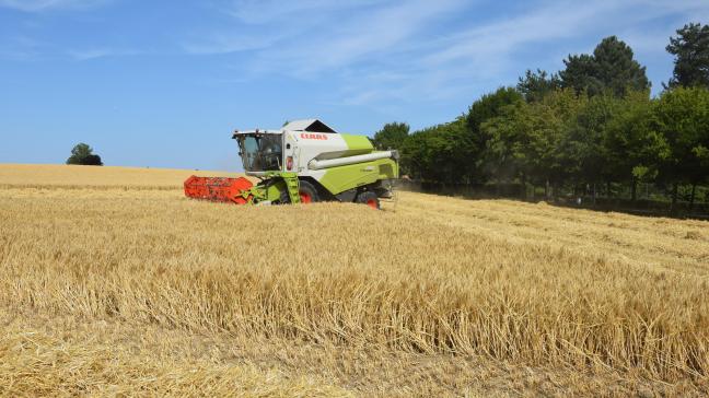 In 2023 wordt er meer graan en aardappelen geteeld.