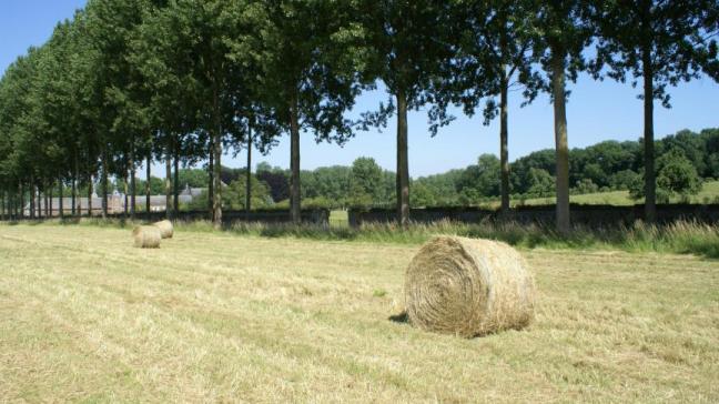 Eerder was de natuurherstelwet tot 3 keer toe verworpen op commissieniveau.