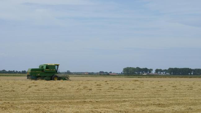 In juni kondigde de Europese Commissie aan dat de beperkingen die 5 EU-landen hadden ingesteld op de invoer van Oekraïens graan verlengd konden worden tot 15 september.