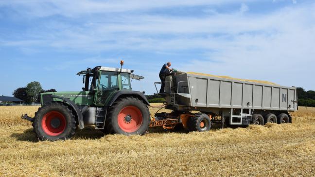 Bijna 55 % van de Belgische landbouwbedrijven wordt dus geleid door een 55-plusser.