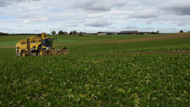 De Waalse regering creëert een landbouwgrondagentschap om Waalse boeren gemakkelijker aan grond te helpen.